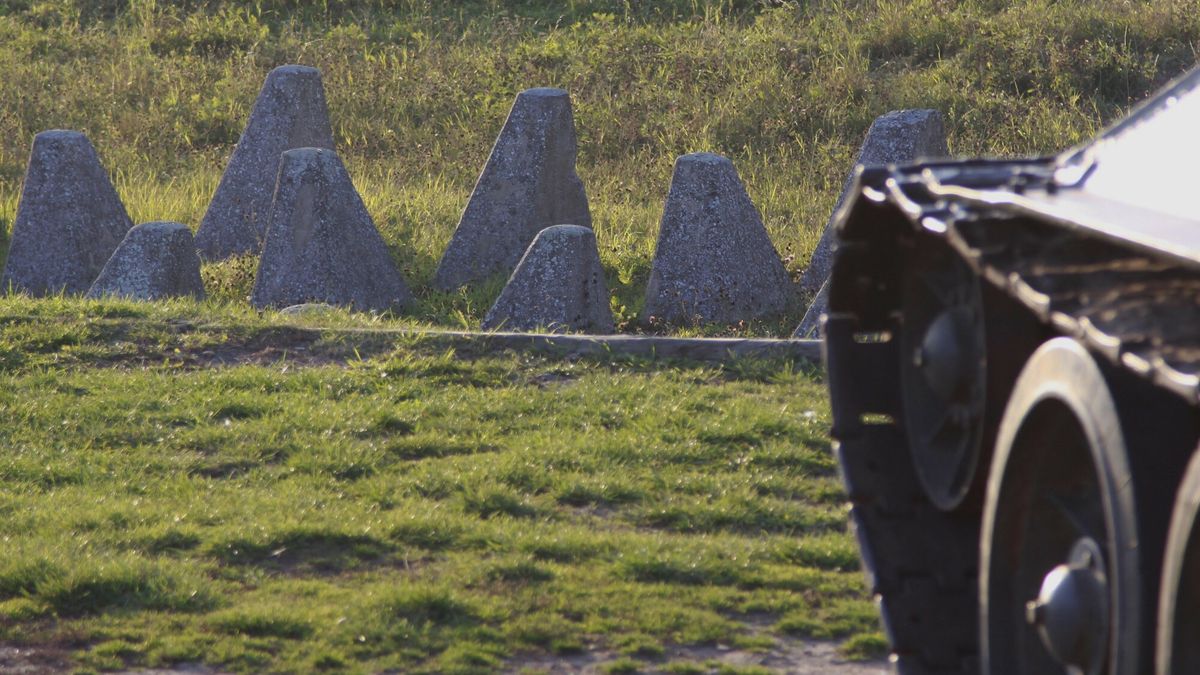 Na zdj. tzw. zęby smoka/ zdj. ilustracyjne