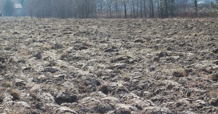 Rząd i PiS krytycznie o pikiecie w sprawie obrotu ziemią