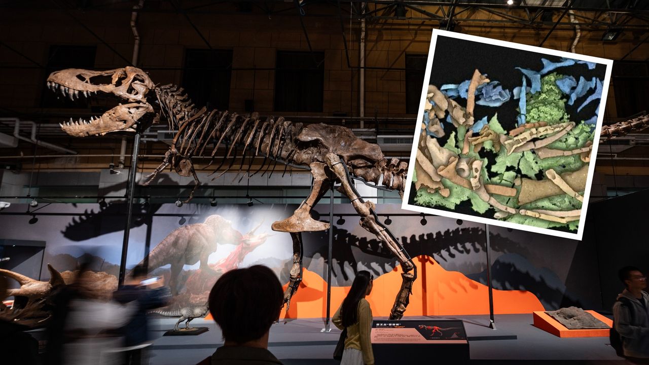 Niesamowite odkrycie w Chinach. To zmieni wiedzę o dinozaurach