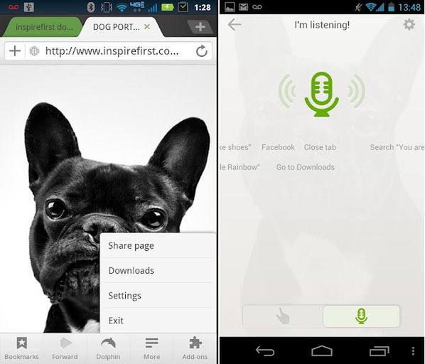 Aktualizacja przeglądarki Dolphin Browser w Google Play 2