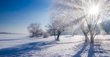 Mróz nie odpuszcza. IMGW przedłuża alert – nocami nawet -21°C w województwie lubelskim