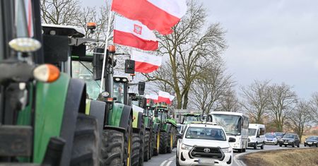 Największe rolnicze korporacje z Ukrainy. "Tutaj trzeba ostrzegać"