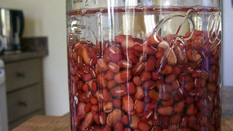 Fasola azuki gotowana z dodatkiem soli