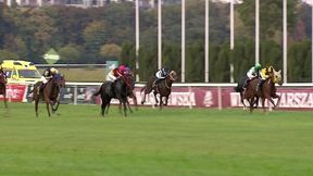 Wielka Warszawska - gonitwa roku na Służewcu