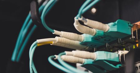 Internet tylko dla zaszczepionych. Łódzka firma żąda od klientów paszportów COVID