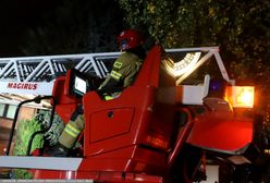 Pożar w stadninie koni. Ewakuacja zwierząt