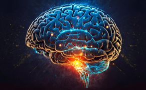 Planete+ HD Pułapki ludzkiego mózgu