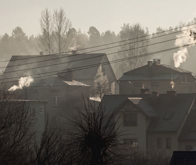 Polacy wciąż nie widzą problemu smogu. Połowa nie sprawdza jakości powietrza