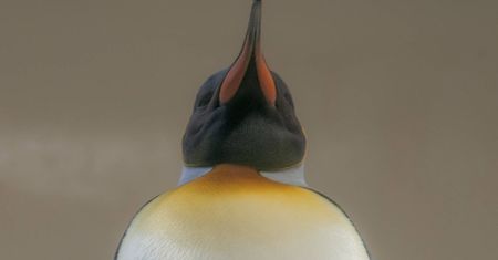 Nowy Linux 5.9 ze zmianą przygotowywaną od ponad 5 lat