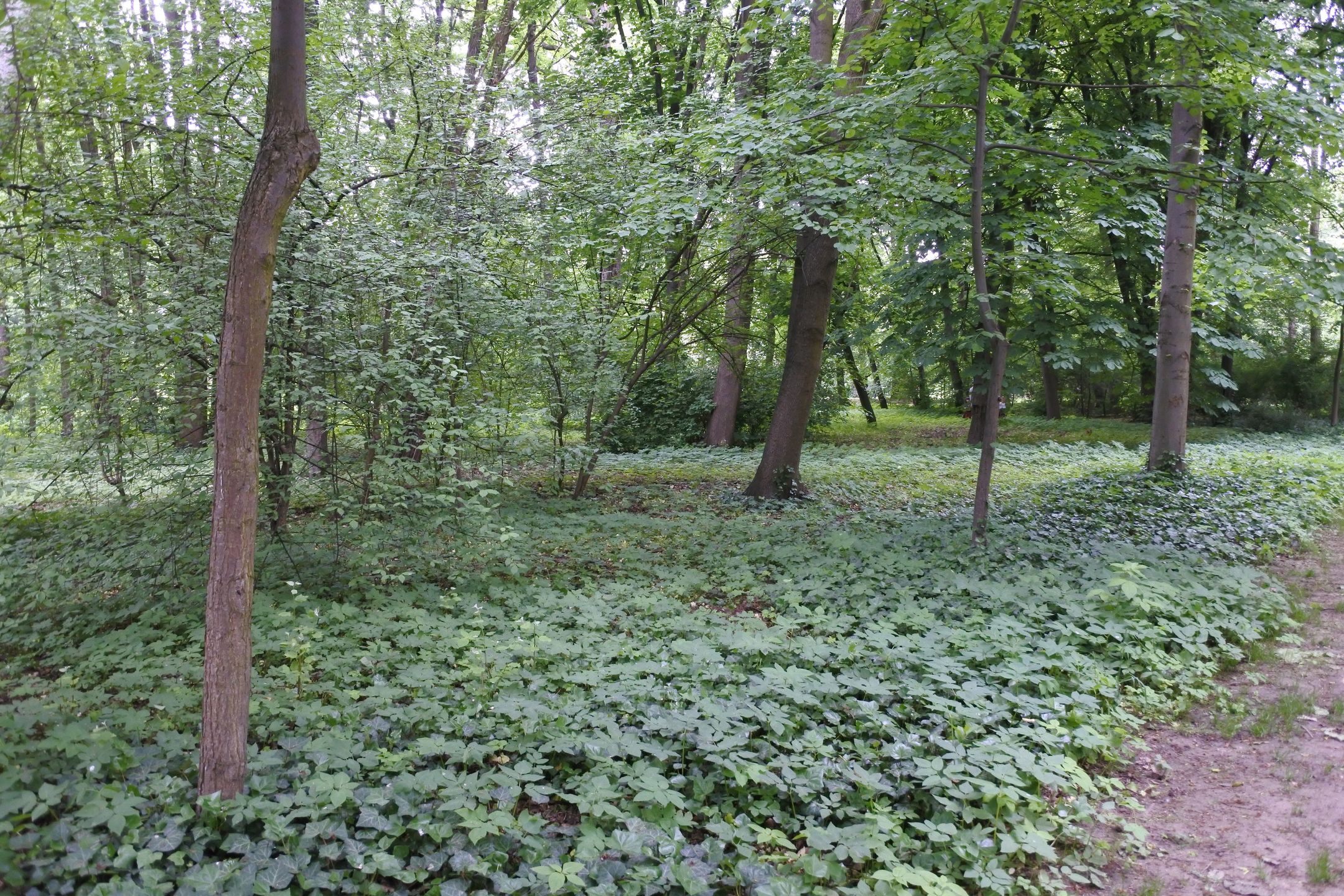 Nowy bezlusterkowiec do 2000 zł - na które aparaty warto zwrócić uwagę? 130