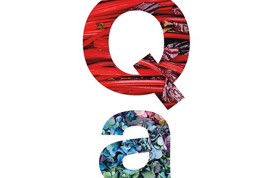 „QA Magazyn” - autorski kwartalnik Marty Gessler o roślinach i jedzeniu