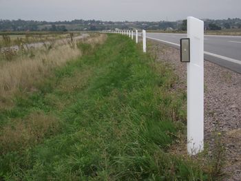 "Wilczych oczu" jest na drogach coraz więcej. To proste i tanie rozwiązanie