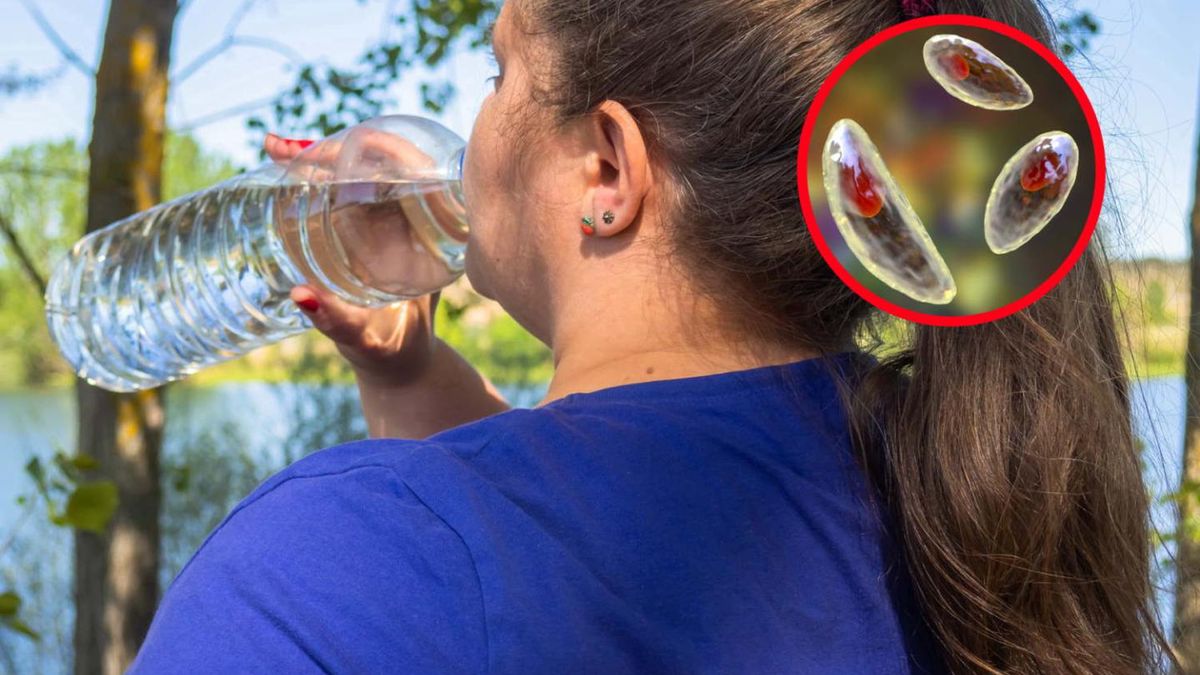 Groźny pasożyt zwiększa ryzyko rozwoju nowotworu mózgu