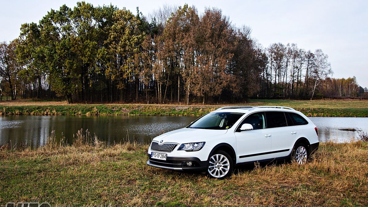 Zdjęcie ilustracyjne do artykułu