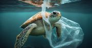 Naukowcy się mylili. Biodegradowalny plastik nie rozkłada się w oceanie
