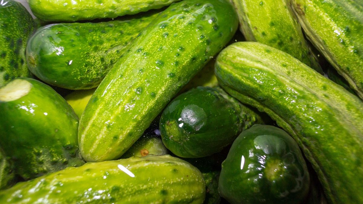 Szybkie małosolne - przepis