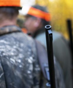 Ruda Śląska. Służbowo policjant, prywatnie myśliwy…razem z patrolem uratował lisa