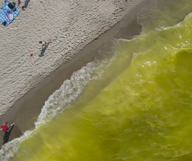 Żółta woda w Bałtyku. Turyści nie wiedzą, co robić