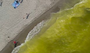 Żółta woda w Bałtyku. Turyści nie wiedzą, co robić