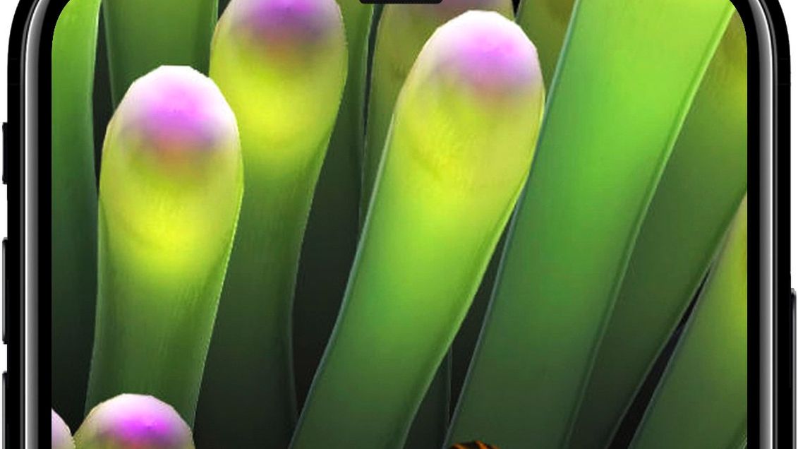 Tak wygląda iPhone 8? To już niemal pewne 1