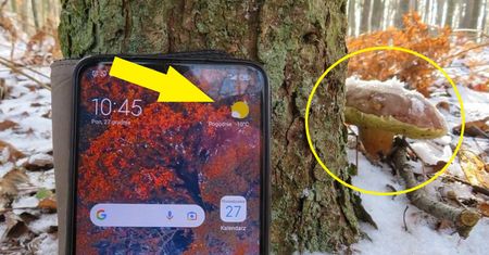 Był śnieg i -10 st. C. Leśnik nie wierzył własnym oczom