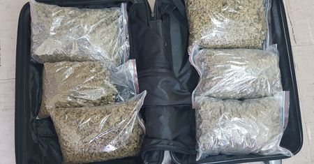 Policja przechwyciła 3 kg narkotyków