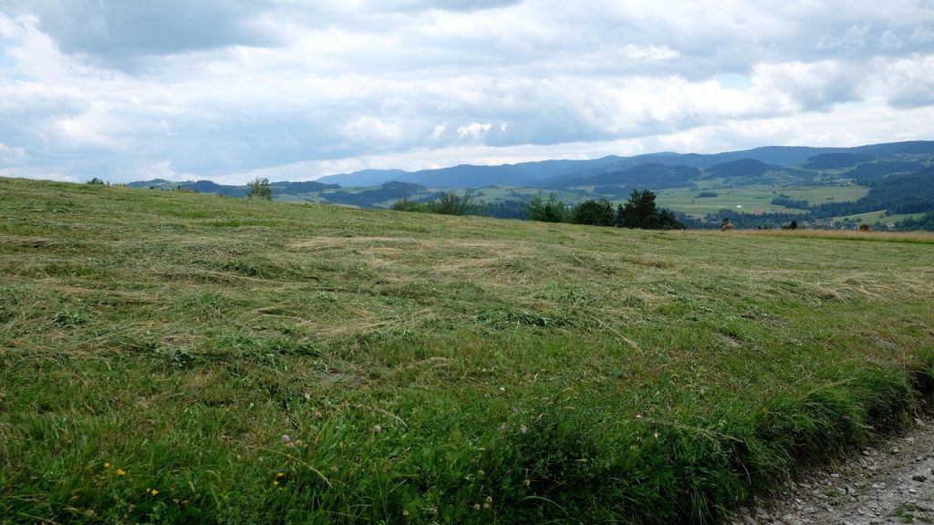 Luboń Wielki