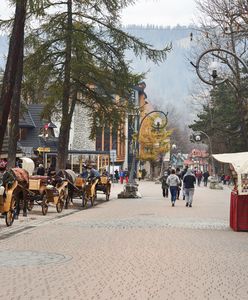 Zakopane pójdzie do urn? Mają dość burmistrza