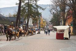 Zakopane pójdzie do urn? Mają dość burmistrza