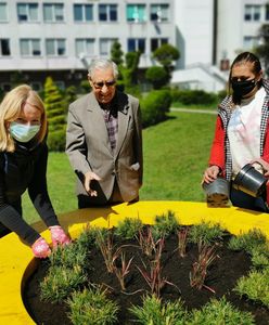 Wrocław. Donica dla zwycięzcy Terra Flower Power. Pan Jan z Radosnej mistrzem zieleni