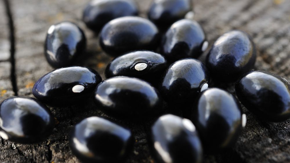 Czarna fasola gotowana z dodatkiem soli