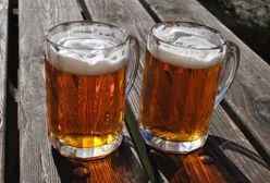 Polskie browary dostępne dla turystów. Gdzie zwiedzać fabryki piwa?