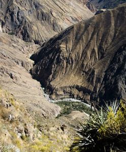 Kanion Colca, najgłębszy na świecie