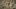 Command & Conquer Generals 2? OMG F2P AAA!!!111