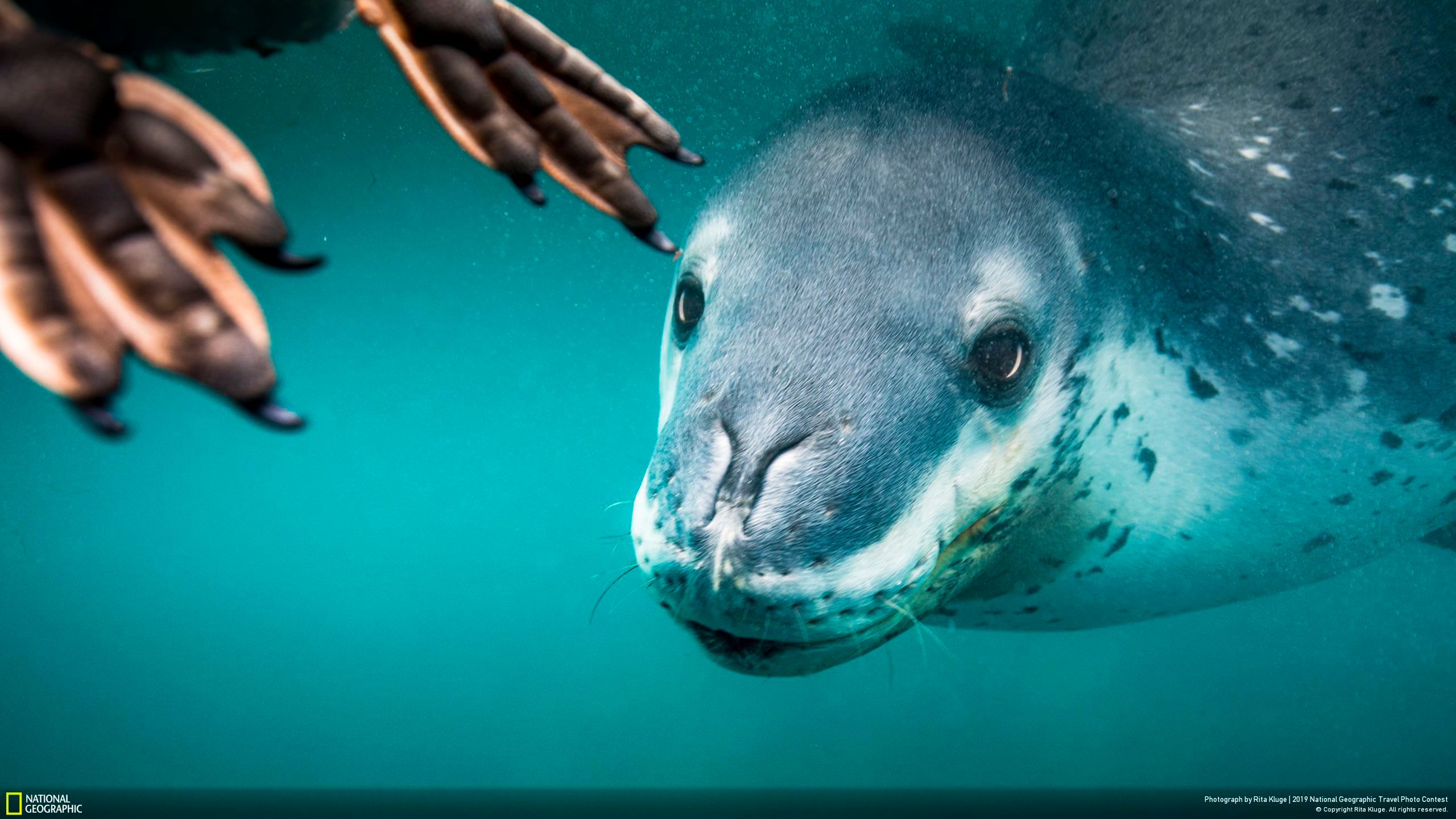Niesamowite zdjęcia finalistów National Geographic Travel Contest 2019 2