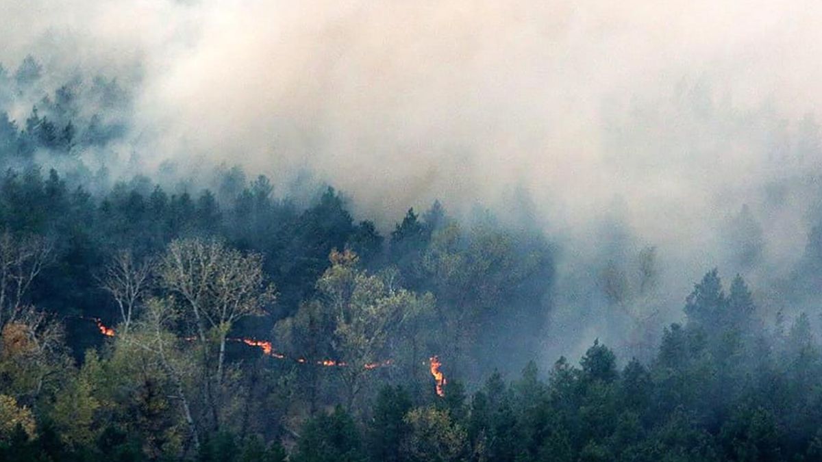 Ukraińskie media donoszą o pożarach w lasach wokół Czarnobylskiej Elektrowni Jądrowej