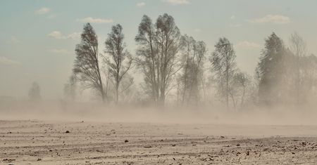 Burza pyłowa między Choczewem a Lubiatowem. Widoczność spadła do zera