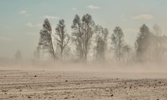 Burza pyłowa między Choczewem a Lubiatowem. Widoczność spadła do zera