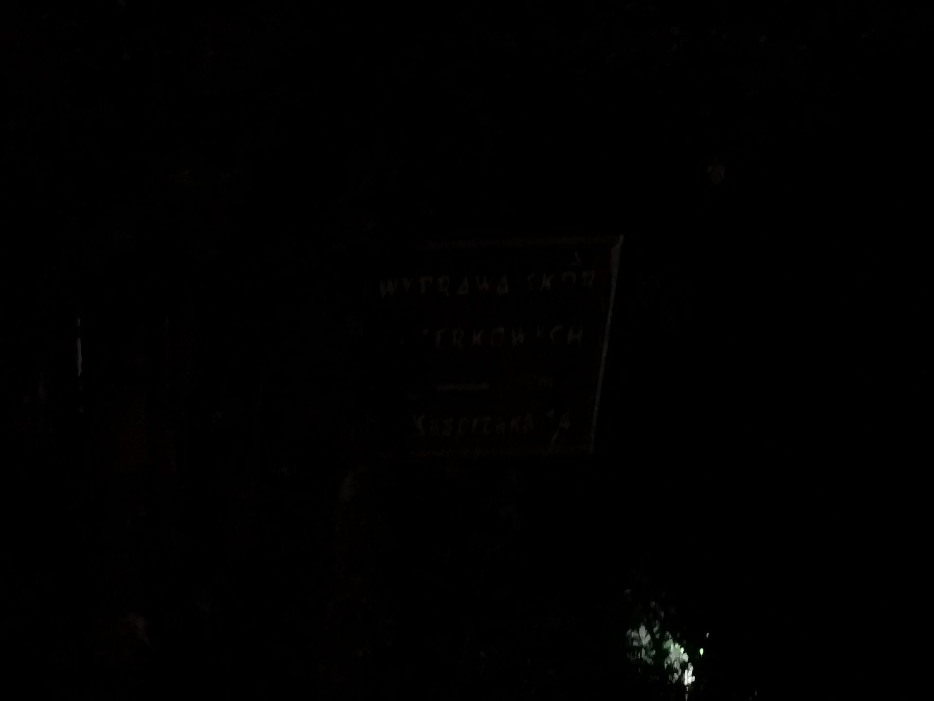 Taki zoom to ja rozumiem. Huawei P40 Pro+: test aparatu 35