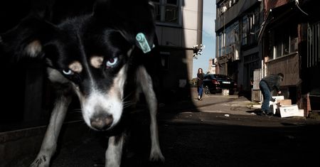 8. Leica Street Photo - znamy nazwiska najlepszych polskich "streetowców"