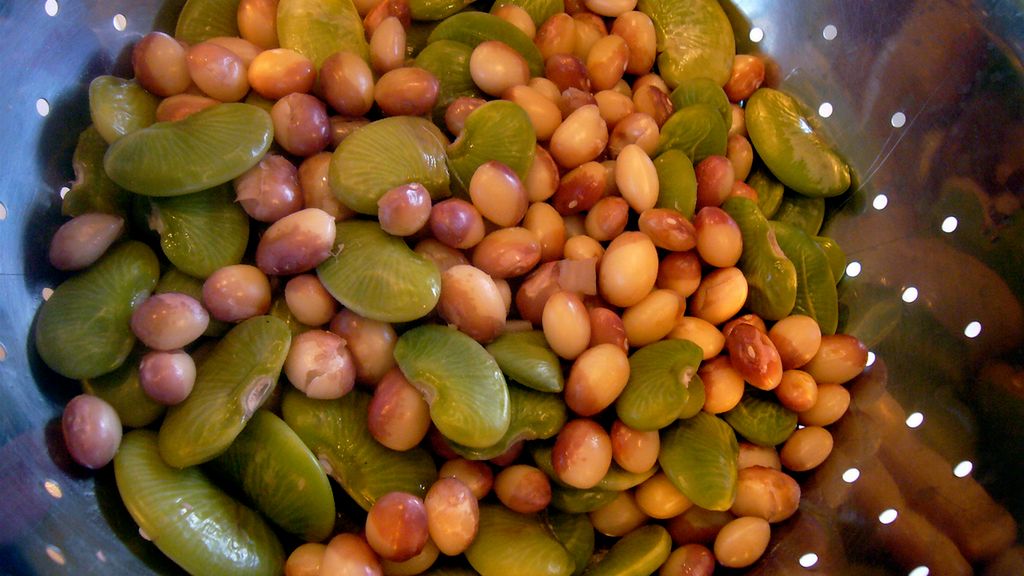 Fasola żurawinowa gotowana z dodatkiem soli