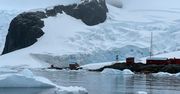 Boją się o swoje życie. Naukowcy z Antarktydy apelują o pomoc