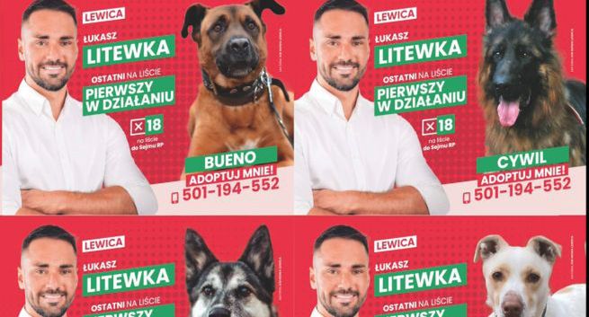 Radny z Sosnowca pokonał w wyborach Czarzastego dzięki nietypowym plakatom? "Było to autentyczne"