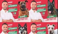 Radny z Sosnowca pokonał w wyborach Czarzastego dzięki nietypowym plakatom? "Było to autentyczne"