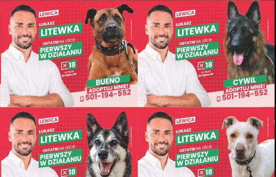 Radny z Sosnowca pokonał w wyborach Czarzastego dzięki nietypowym plakatom? "Było to autentyczne"