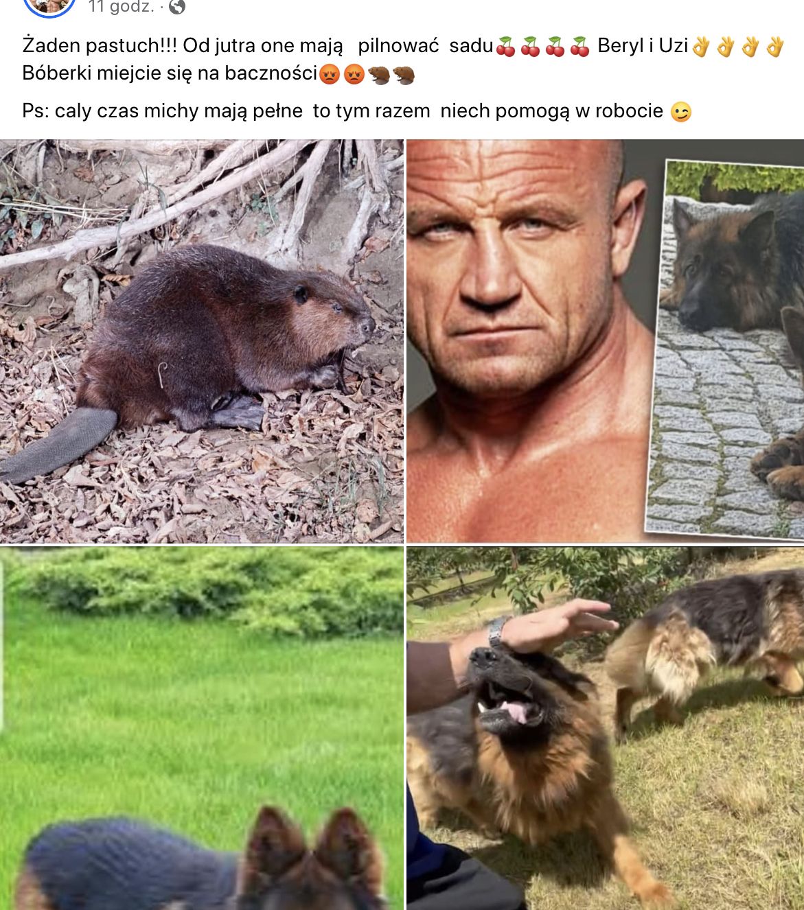 Sad Pudzianowskiego zdemolowany