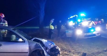 Instant karma dla pijanego kierowcy. Miał ponad 1,5 promila alkoholu we krwi. Jazdę zakończył na słupie energetycznym