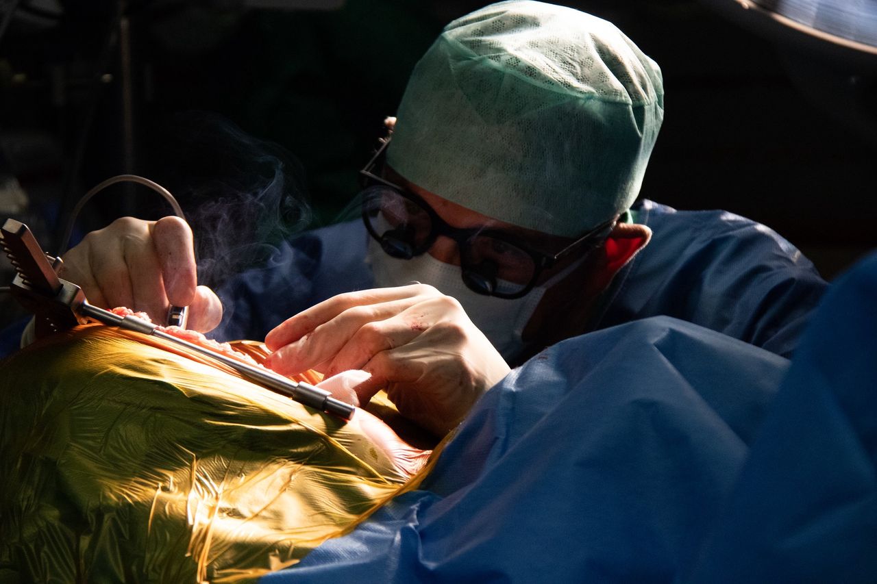 Pensje lekarzy specjalistów. Podwyżka o 19 zł, która może się okazać obniżką