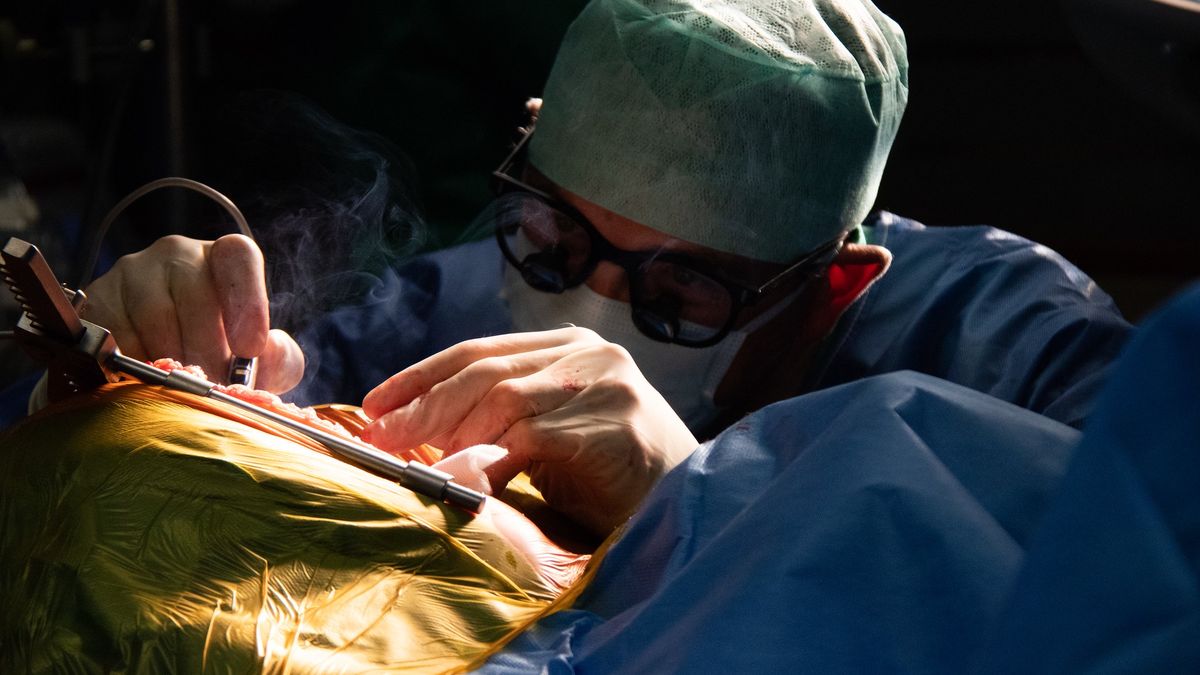 Lekarze mają dostać wyższe wynagrodzenia.