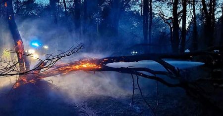 Palił się las przy jeziorze Piaszczyste